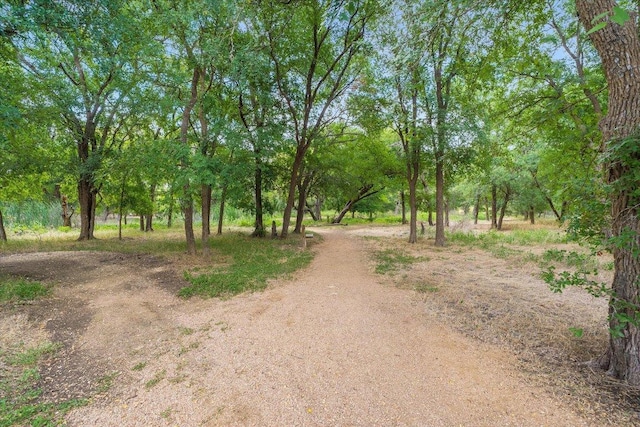 1352 Clark Brothers Dr, Buda, TX 78610 - photo 37