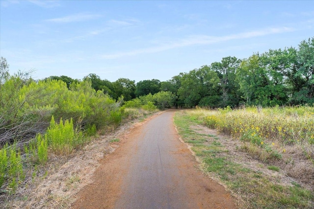 1352 Clark Brothers Dr, Buda, TX 78610 - photo 35