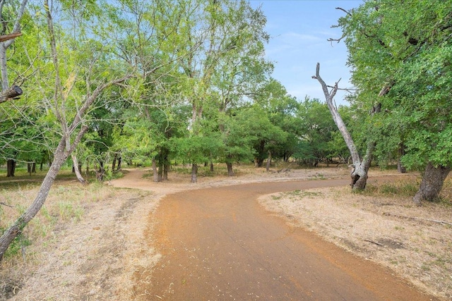 1352 Clark Brothers Dr, Buda, TX 78610 - photo 36
