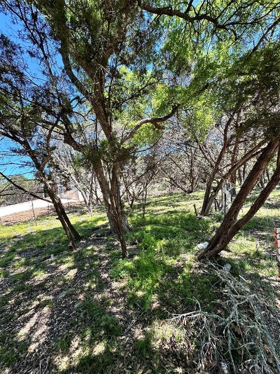 TBD Mimosa St, Wimberley, TX 78676 - photo 7