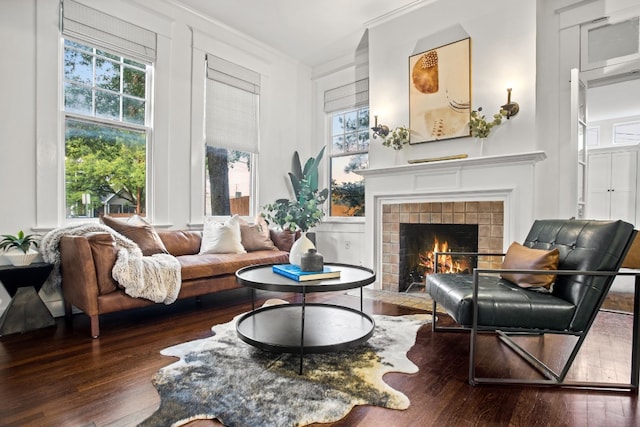 607 W 32nd St, Austin, TX 78705 - living room featuring wood finished floors, a fireplace, and ornamental molding