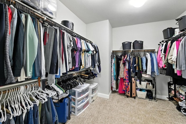 9108 Alex Ln, Austin, TX 78748 - photo 22