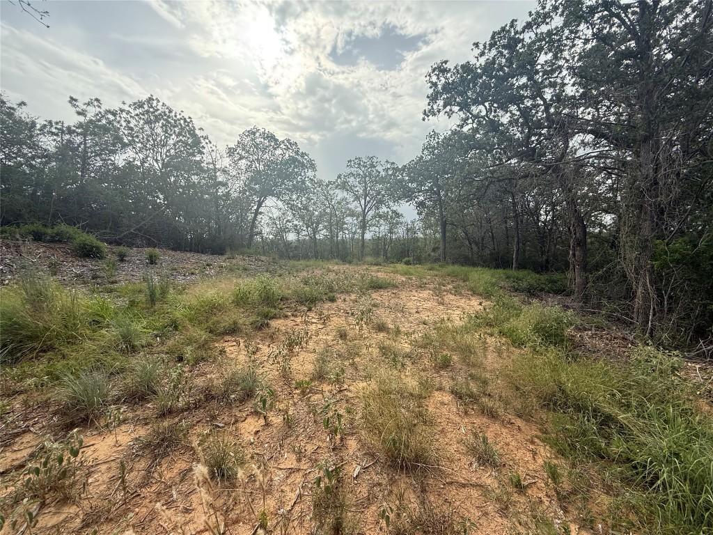 108 Kalihi Ct, Bastrop, TX 78602 - photo 2