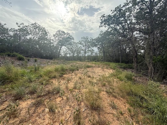 108 Kalihi Ct, Bastrop, TX 78602 - photo 2