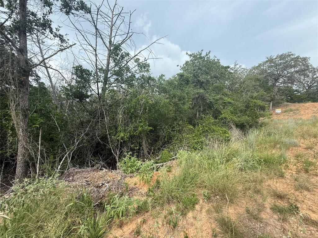 108 Kalihi Ct, Bastrop, TX 78602 - photo 3
