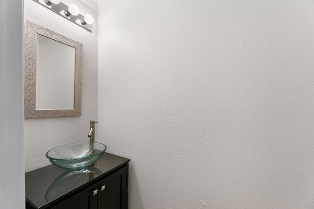 6828 Walkup Ln, Austin, TX 78747 - bathroom with vanity and ornamental molding