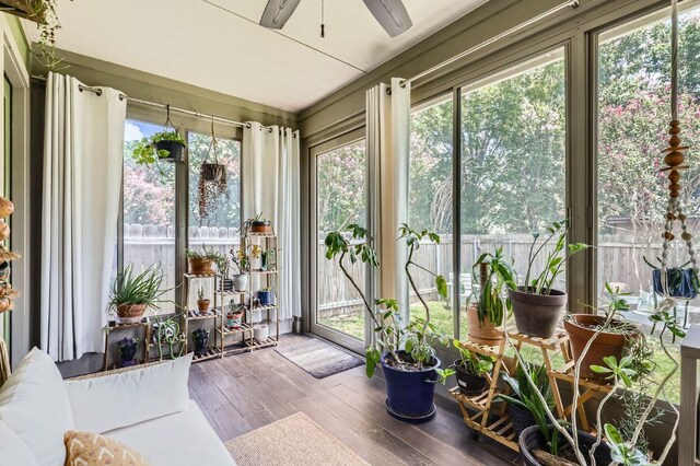 803 Hank Aaron Ln, Round Rock, TX 78665 - sunroom / solarium with hardwood / wood-style floors