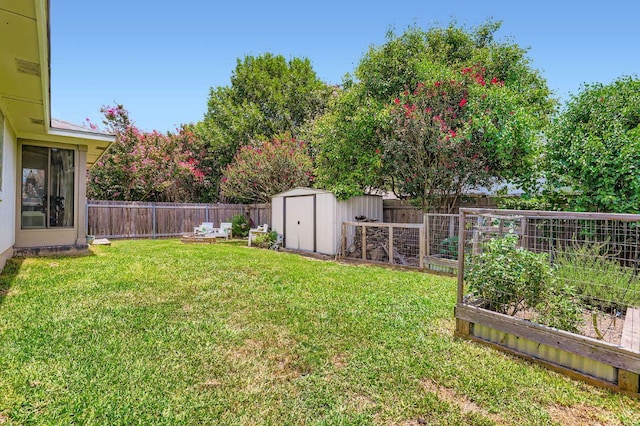 803 Hank Aaron Ln, Round Rock, TX 78665 - fenced backyard featuring a garden and a storage unit