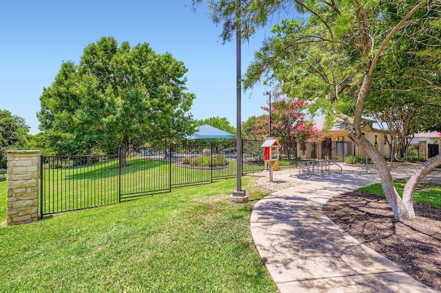 803 Hank Aaron Ln, Round Rock, TX 78665 - view of yard