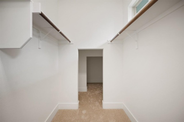 11013 Avery Station Loop Unit 31, Austin, TX 78717 - spacious closet with light colored carpet