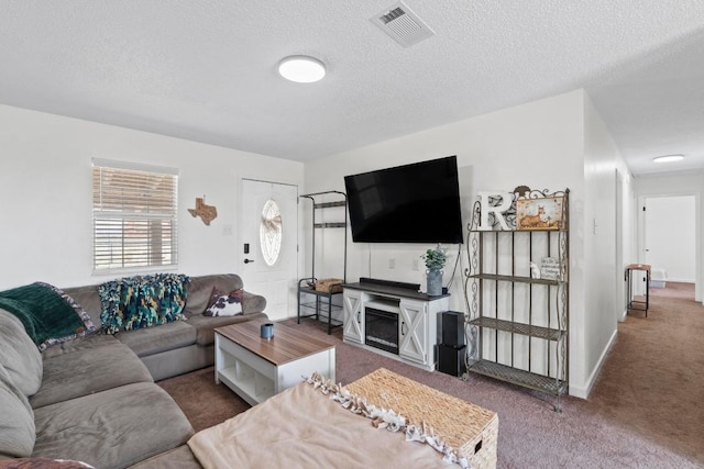 8104 Bronco Ln, Lago Vista, TX 78645 - living room featuring carpet floors and a textured ceiling