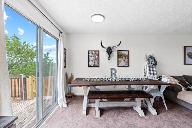 8104 Bronco Ln, Lago Vista, TX 78645 - dining space featuring carpet flooring and a textured ceiling
