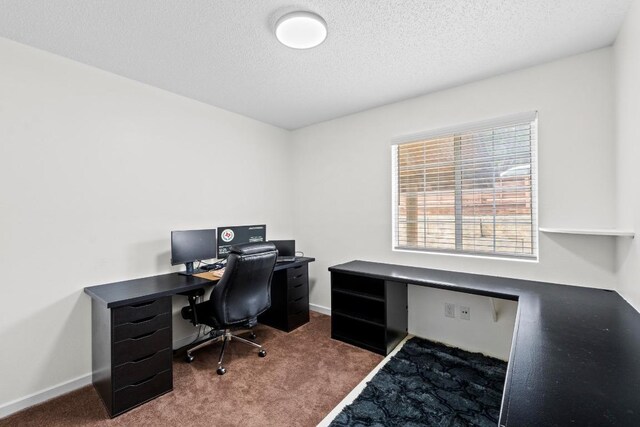 8104 Bronco Ln, Lago Vista, TX 78645 - carpeted home office with a textured ceiling