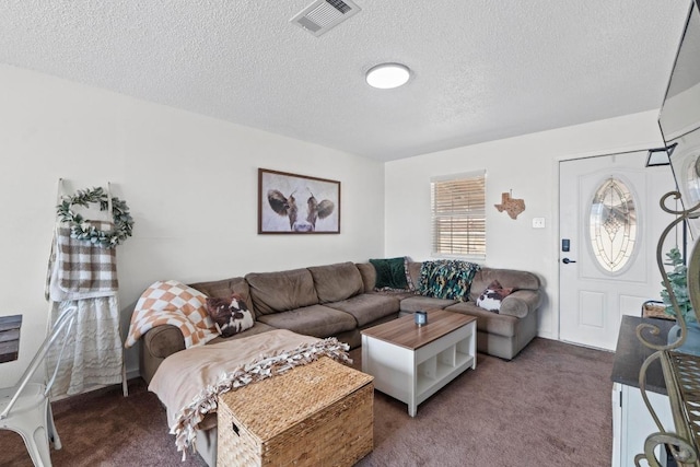 8104 Bronco Ln, Lago Vista, TX 78645 - living room featuring carpet floors and a textured ceiling