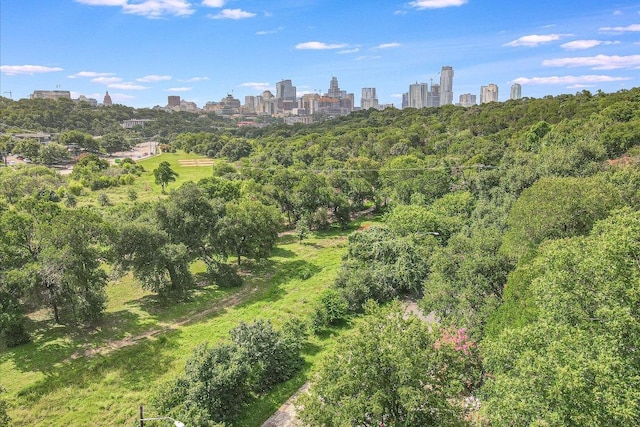 1210 Windsor Rd Unit 113, Austin, TX 78703 - aerial view of city skyline and a heavily wooded area