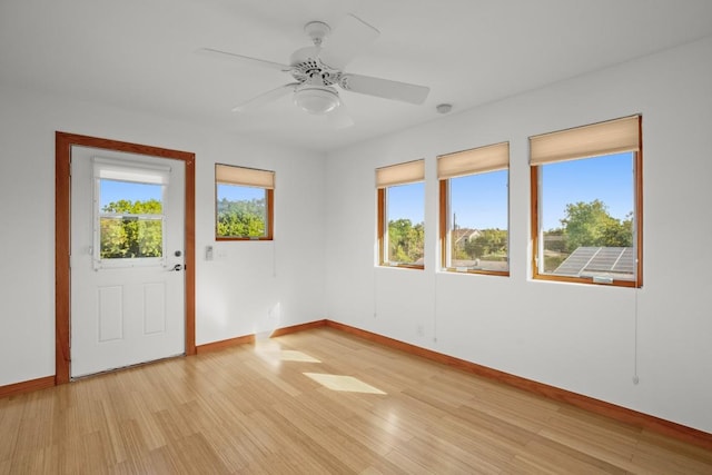 913 Taulbee Ln, Austin, TX 78757 - unfurnished room with light wood-style floors and a ceiling fan