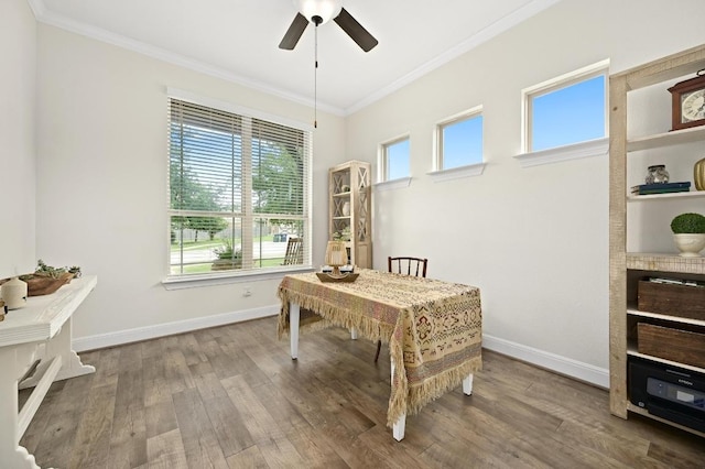 1113 Hartman Dr, Leander, TX 78641 - office area with a ceiling fan, ornamental molding, and wood finished floors