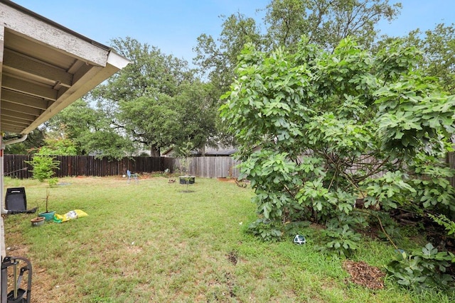 6803 Moonmont Dr, Austin, TX 78745 - view of fenced backyard