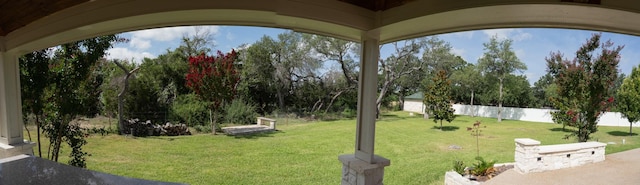 213 S Buffalo Pass, Georgetown, TX 78633 - view of yard