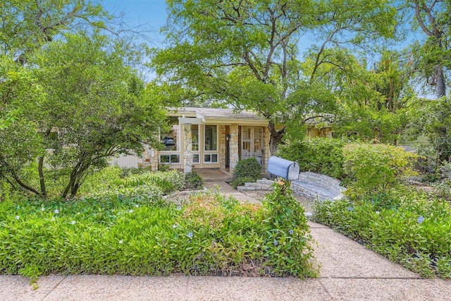 1901 Cresthaven Dr, Austin, TX 78704 - photo 2