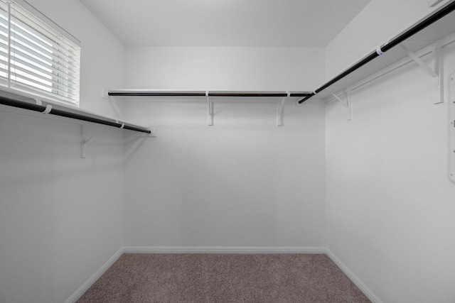 9908 Thane Way Unit 83, Austin, TX 78748 - photo 15