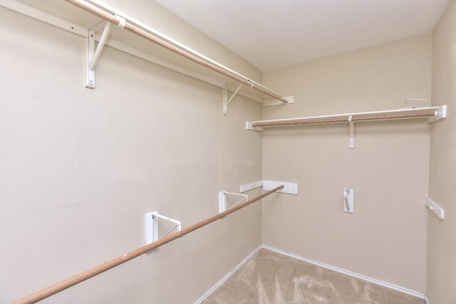 125 Holland St, Hutto, TX 78634 - photo 21