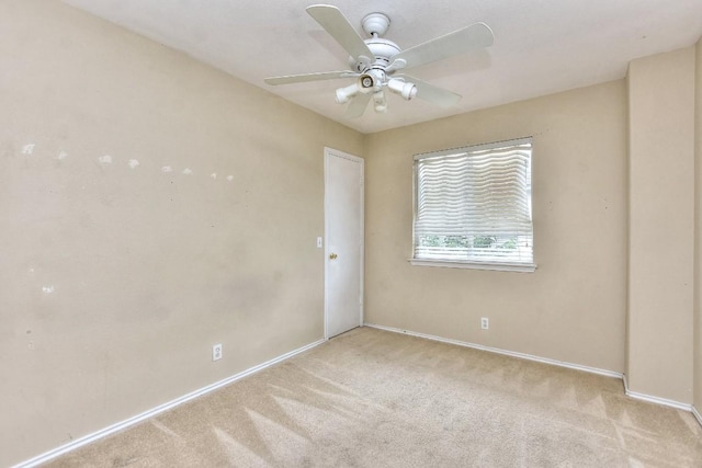 125 Holland St, Hutto, TX 78634 - photo 24