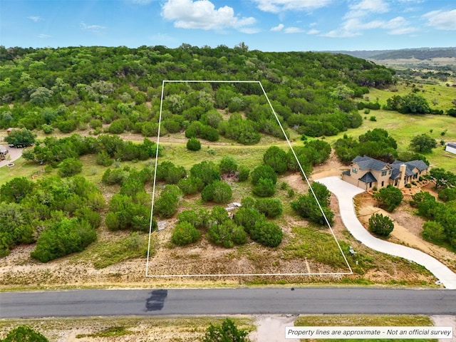 318 Whitewater Dr, Bertram, TX 78605