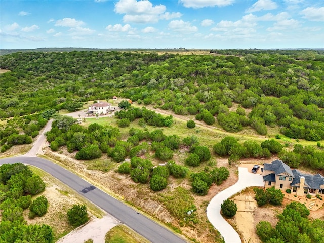 318 Whitewater Dr, Bertram, TX 78605