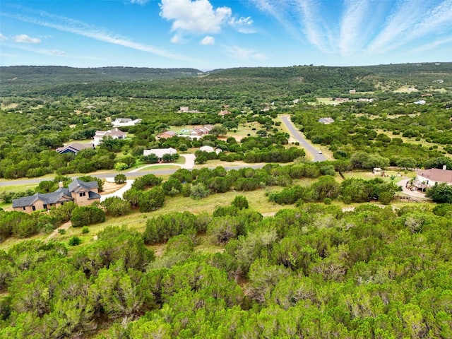 318 Whitewater Dr, Bertram, TX 78605