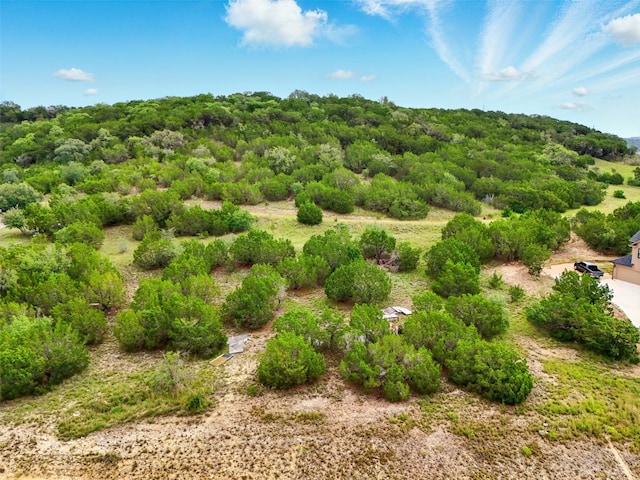 318 Whitewater Dr, Bertram, TX 78605