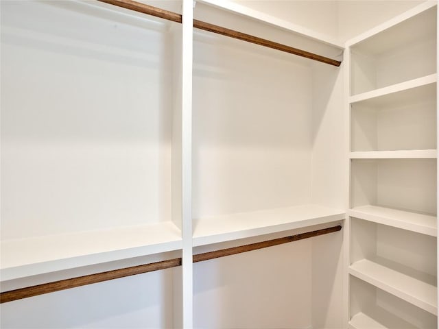 2005 Palo Duro Rd, Austin, TX 78757 - view of spacious closet