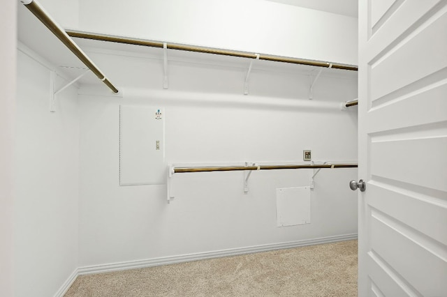 8821 Cattle Baron Path, Austin, TX 78747 - photo 18