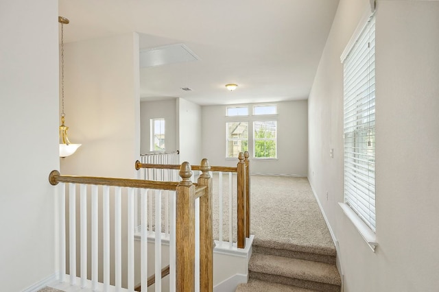 8821 Cattle Baron Path, Austin, TX 78747 - photo 24