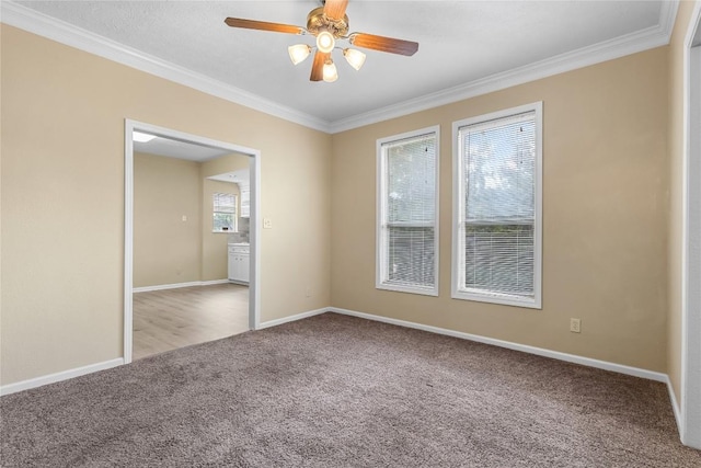 804 E Michalk St, Thorndale, TX 76577 - photo 8