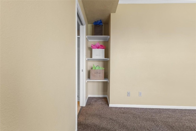 804 E Michalk St, Thorndale, TX 76577 - photo 19