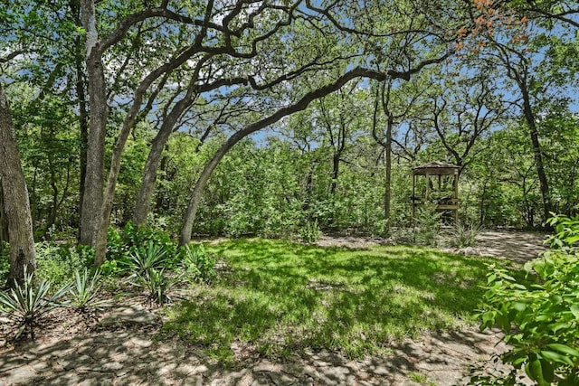 3119 Eanes Cir, Austin, TX 78746 - photo 22