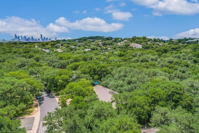 3119 Eanes Cir, Austin, TX 78746 - photo 23