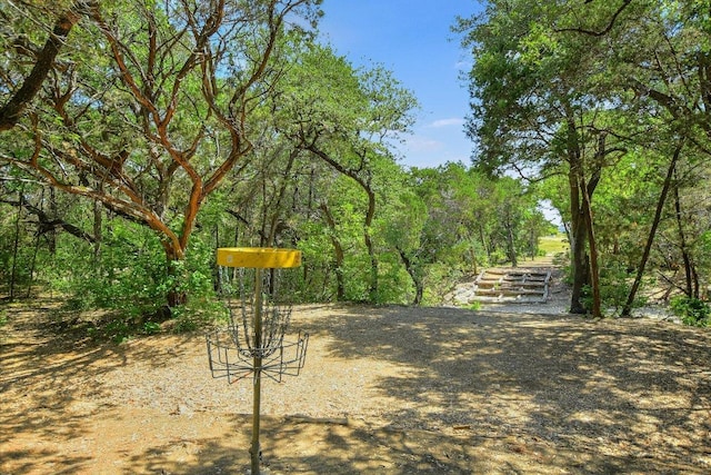 10320 Hansa Cv, Austin, TX 78739 - view of yard