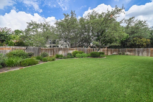 10320 Hansa Cv, Austin, TX 78739 - view of fenced backyard