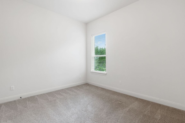 377 Bristlecone Dr, Driftwood, TX 78619 - empty room featuring light carpet