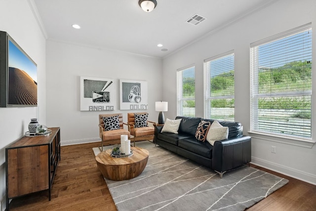 377 Bristlecone Dr, Driftwood, TX 78619 - living area featuring ornamental molding, healthy amount of natural light, wood finished floors, and recessed lighting