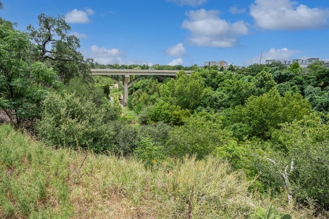 1004 Scenic Dr, Georgetown, TX 78626 - view of undeveloped land