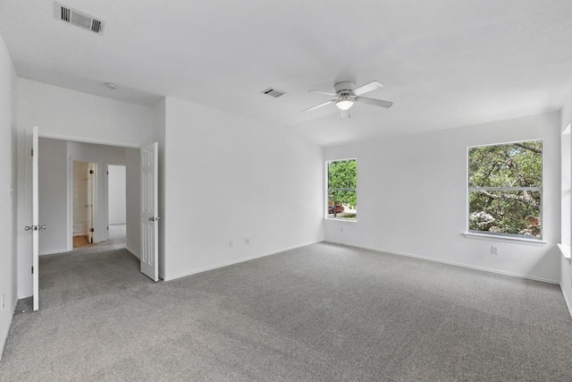 2113 Lobelia Dr, Cedar Park, TX 78613 - photo 18