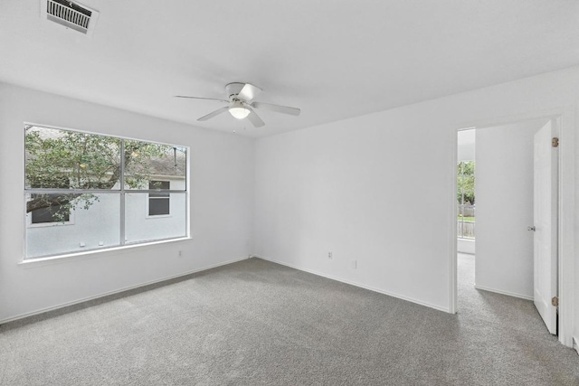 2113 Lobelia Dr, Cedar Park, TX 78613 - photo 21