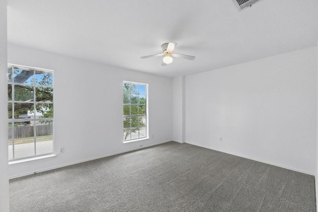 2113 Lobelia Dr, Cedar Park, TX 78613 - photo 23