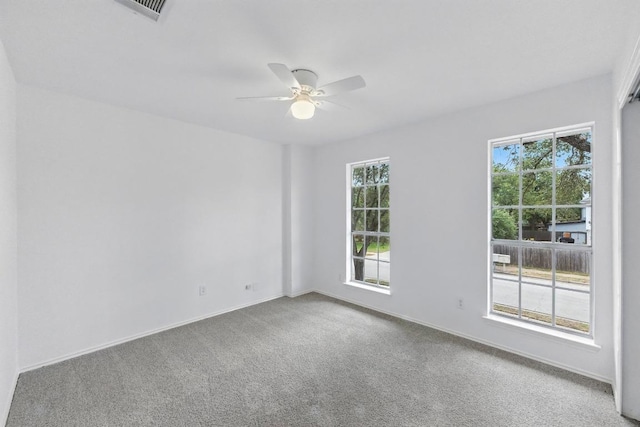 2113 Lobelia Dr, Cedar Park, TX 78613 - photo 26