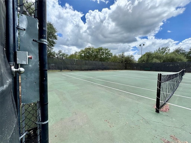 2113 Lobelia Dr, Cedar Park, TX 78613 - photo 38
