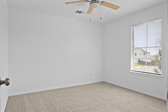 13201 Briarcreek Loop, Manor, TX 78653 - photo 14