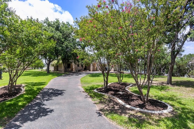 4910 Owen Ln, Temple, TX 76502 - view of property's community with a lawn and driveway